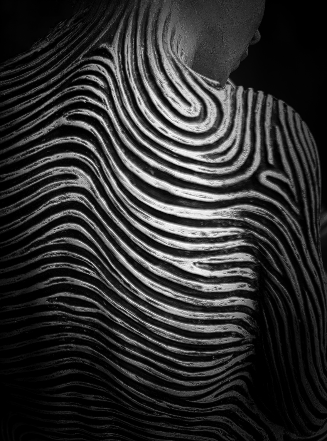 Contoured lines in black and white on the back of a sculpture