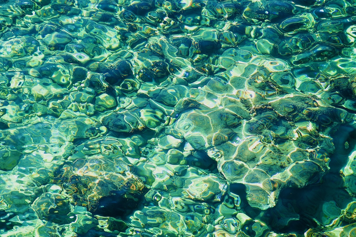 blue and green sea bed seen through clear water and distorted by the sea surface