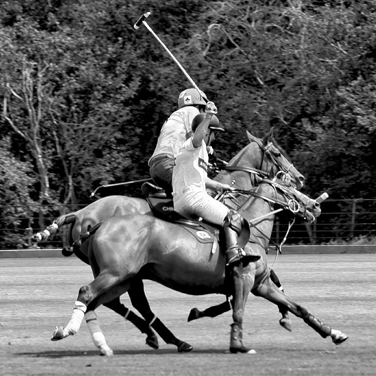 Polo players clashing in polo match