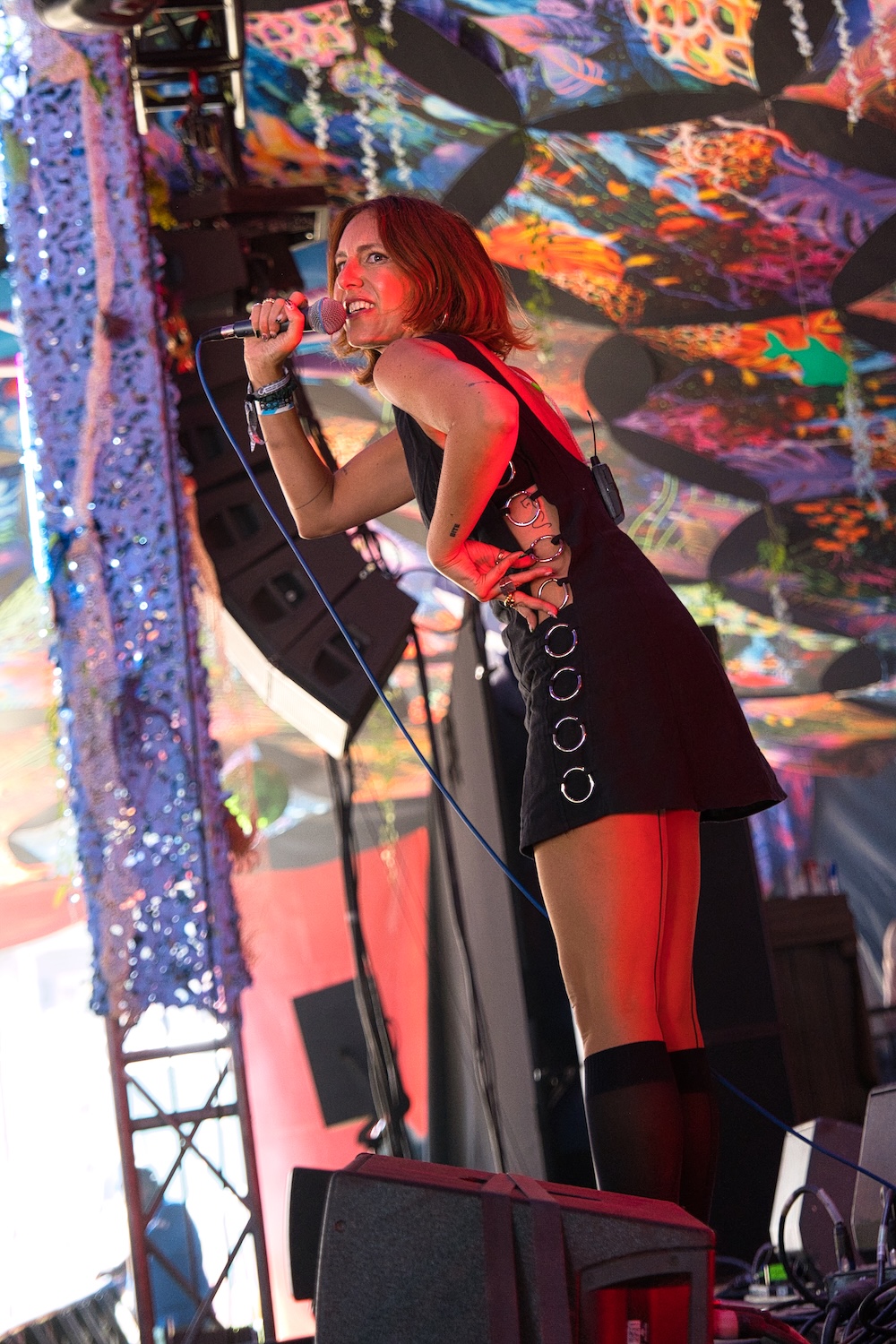 Shelf Lives band singer on stage