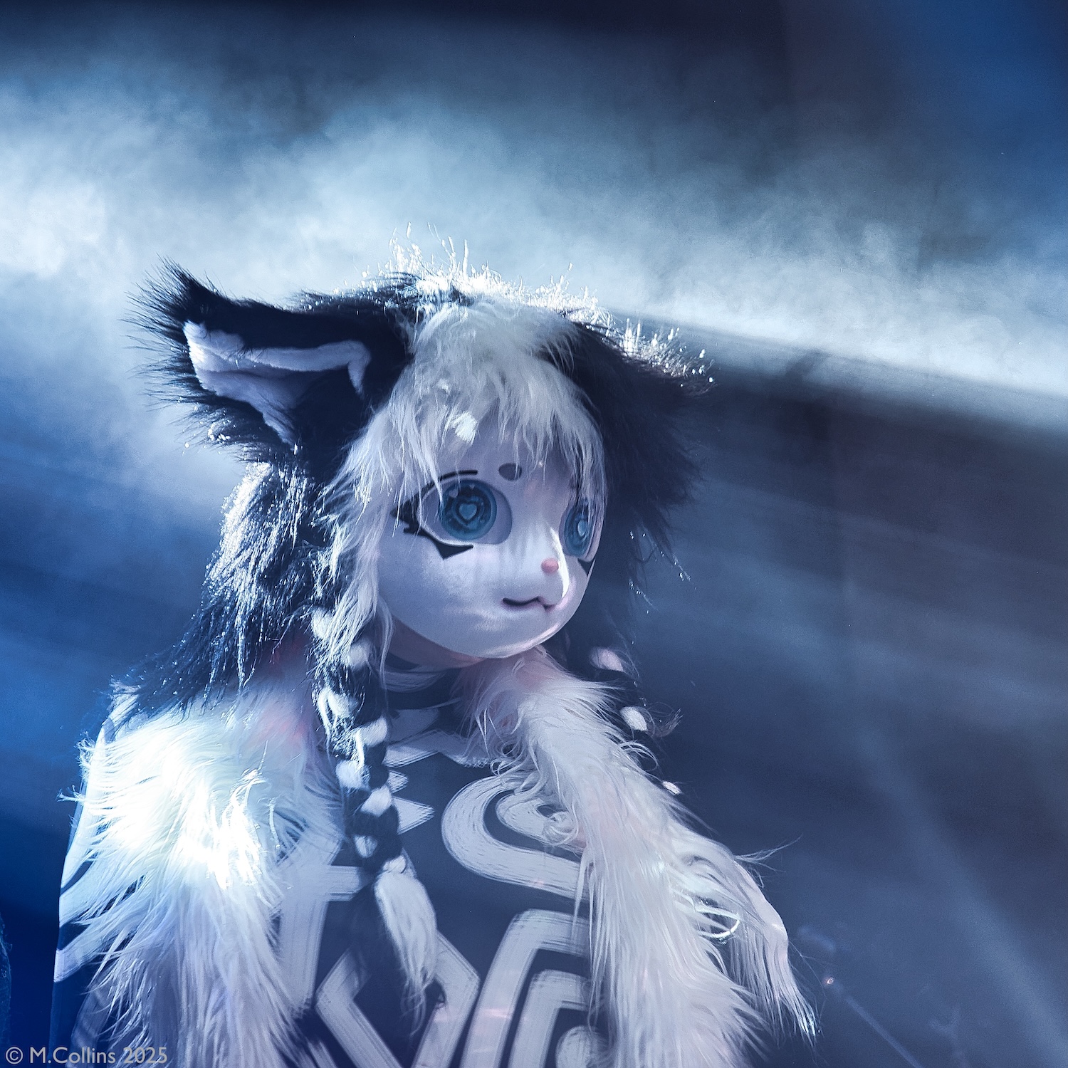 photograph of a person dressed as a cat on stage